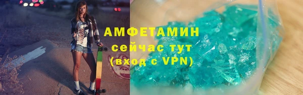 гидра Арсеньев