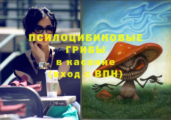 гидра Арсеньев