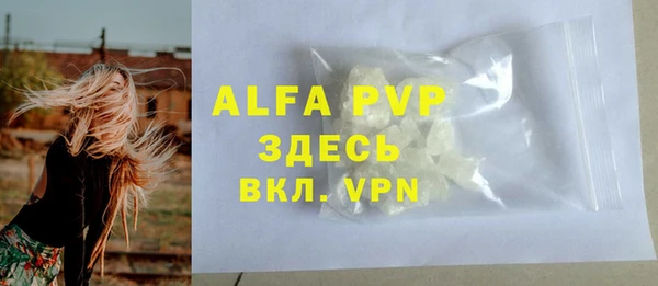 гидра Арсеньев