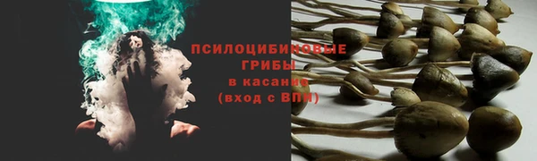 мяу мяу кристалл Аркадак